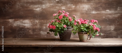 Two houseplants are displayed in flowerpots on a wooden table, adding a touch of nature to the rooms decor © AkuAku