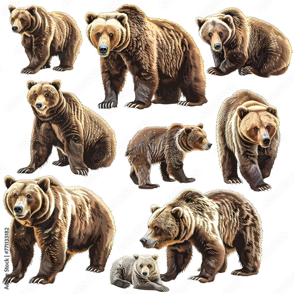 Naklejka premium Clipart illustration featuring a various of brown bear on white background. Suitable for crafting and digital design projects.[A-0001]
