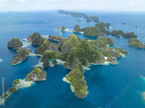 The limestone islands of Balbalol, fringed by reef, rise from Raja Ampat's tropical seascape. This region is known as the heart of the Coral Triangle due to the high marine biodiversity found there. © ead72