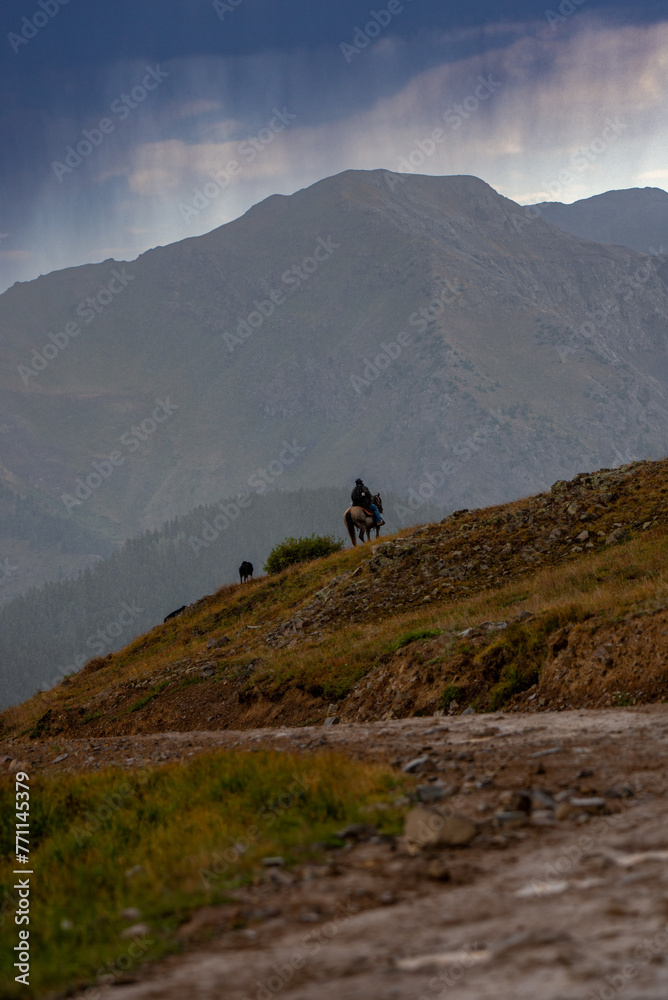 Shepherd overlooking the flock of sheep in the St. Juan mountains of Colorado sunset rain