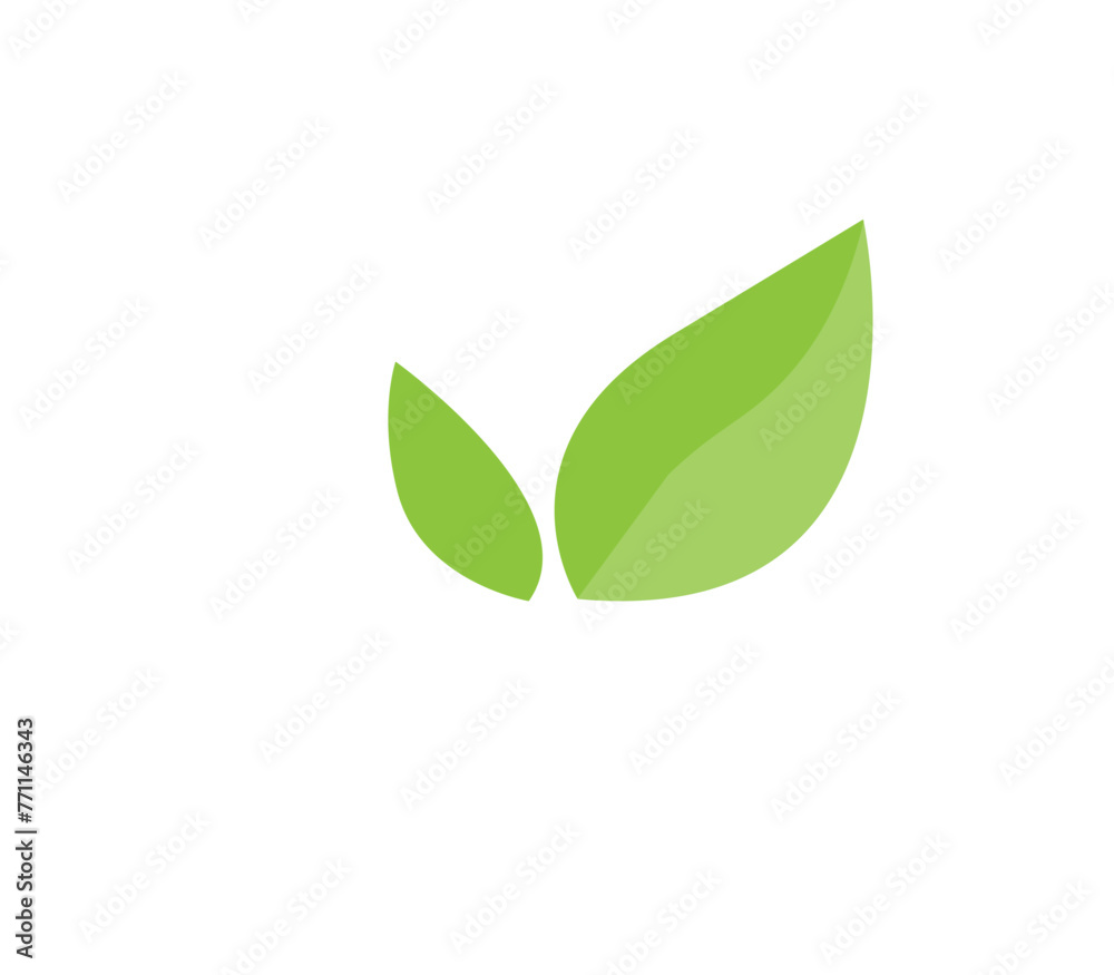 green leaves isolated on white background