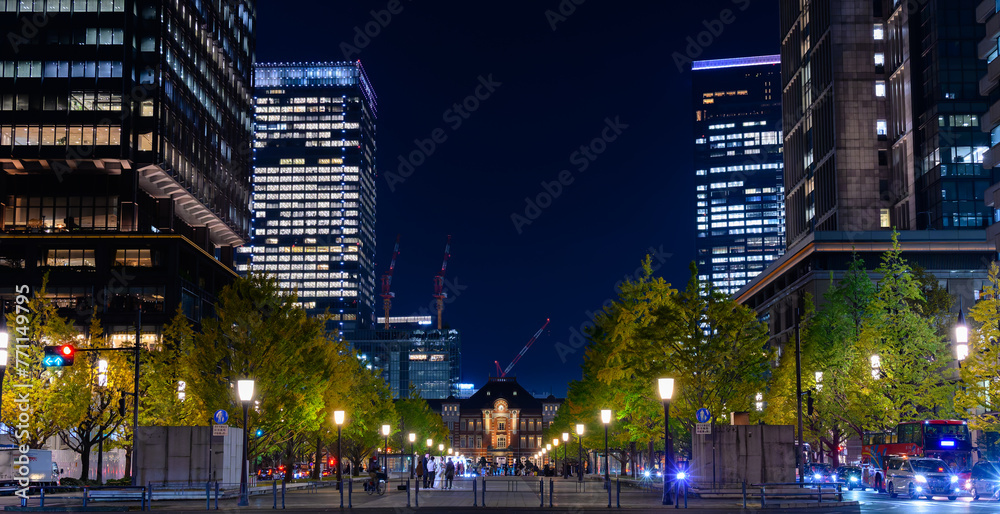 Fototapeta premium 丸の内界隈の夜景