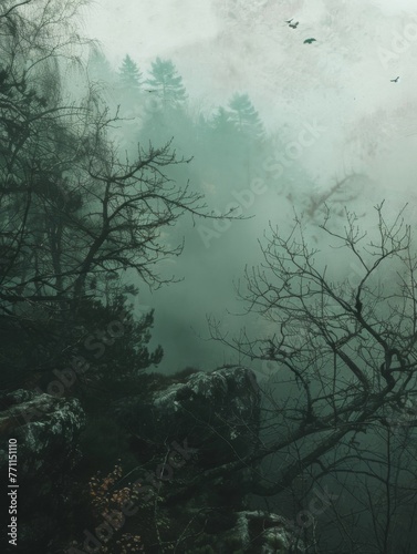 Mystic forest scenery with dense fog and trees - An enchanting forest scene, shrouded in dense fog, creating a sense of mystery and solitude © Tida