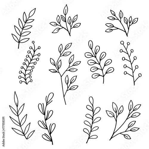 Set of hand drawing of decorative leaves illustration vector