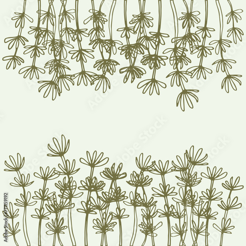 Hand drawing of decorative sea plant illustration background pattern and border ftrame vector