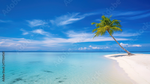 beach with palm trees.