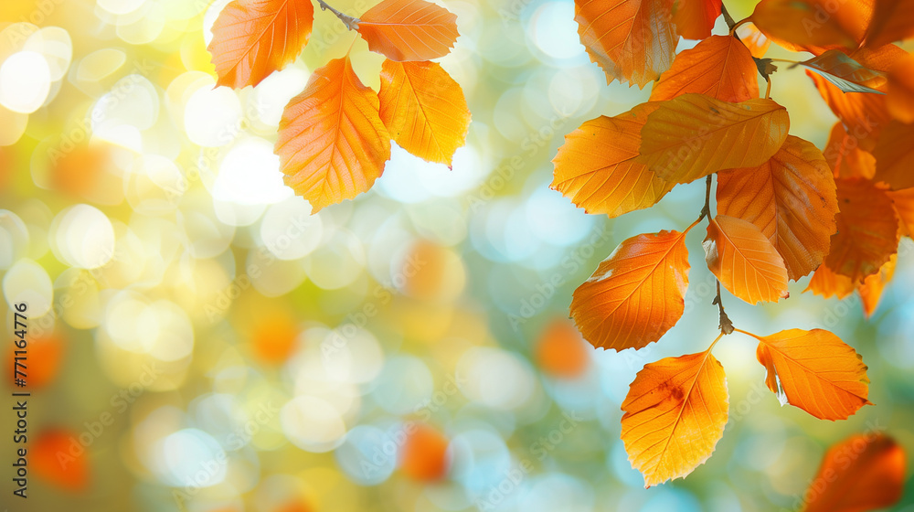 A detailed view of a tree adorned with vibrant orange leaves, capturing the essence of autumn in all its glory, orange fall leaves in park, sunny autumn natural background