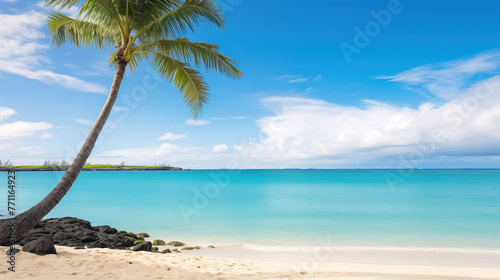 beach with palm trees.