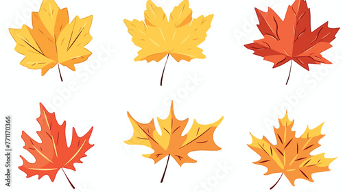 Maple leaf of canada design flat cartoon vactor ill