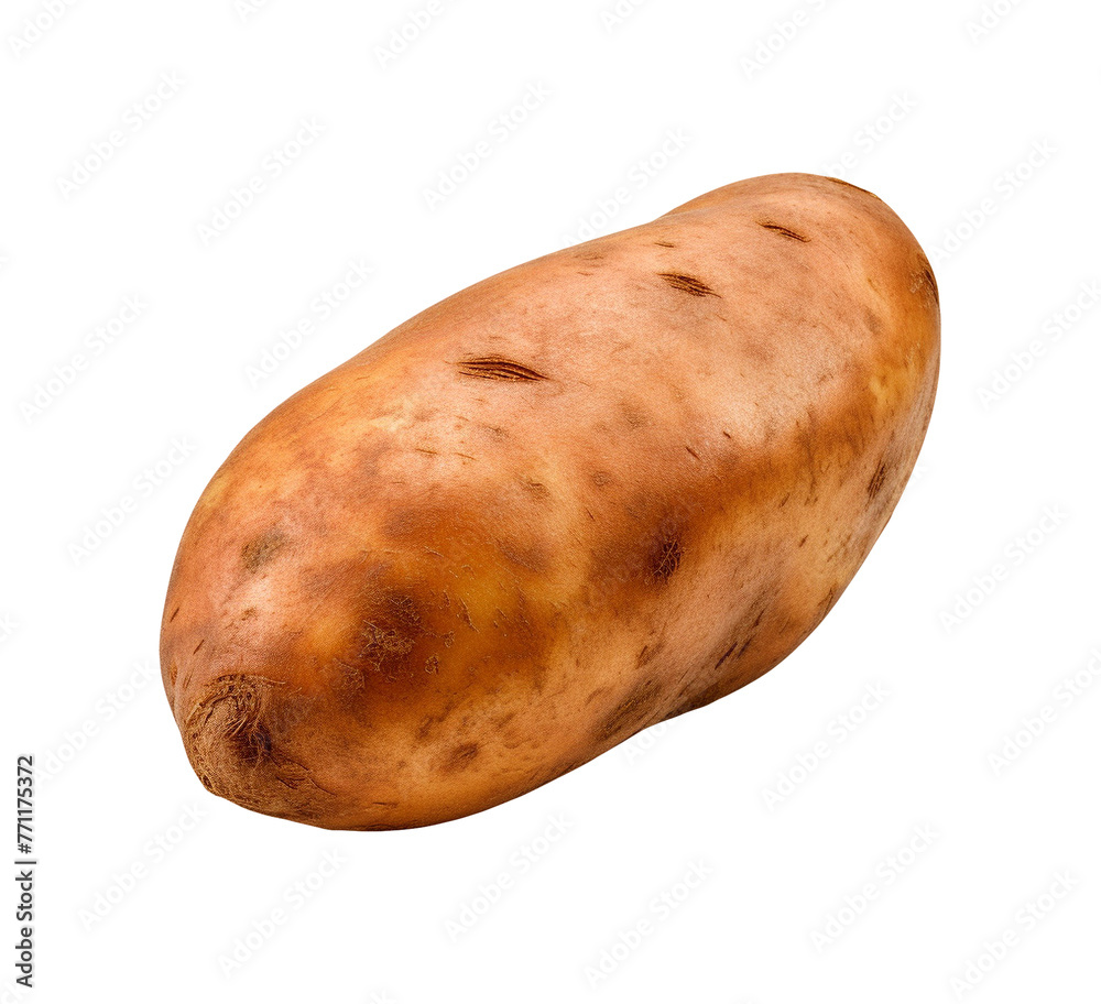potato fresh vegetable isolated potato fresh vegetable isolated