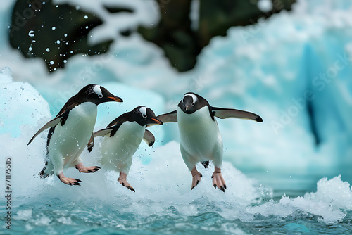 petrel penguins jumping in the ice cold water in the  74c699fc-3027-48d1-a89c-e81e5c26e2da 0 photo