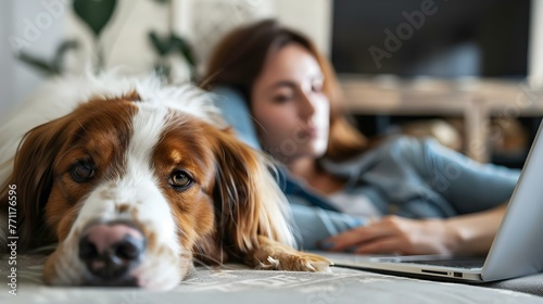 Dog laying next to woman working from home at laptop