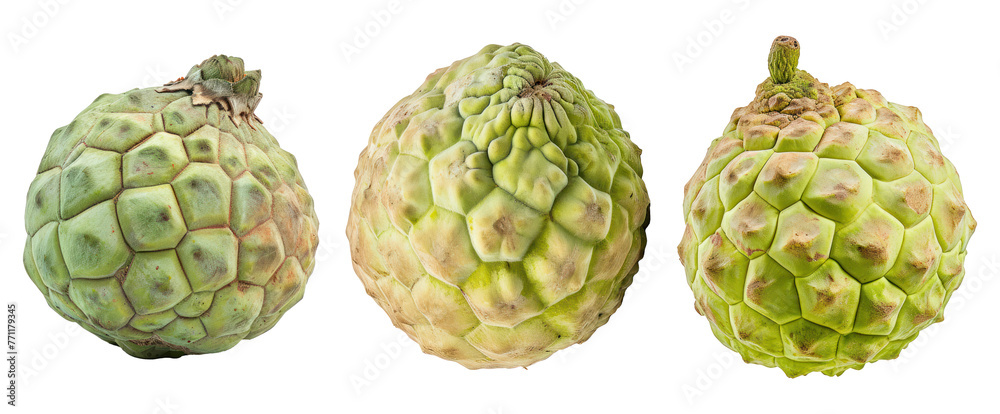pack of three natural sugar apple fruit pack of three natural sugar apple fruit