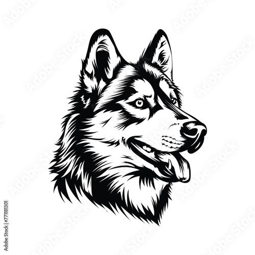 Siberian Husky Dog Face black and white Stock Vector Illustration