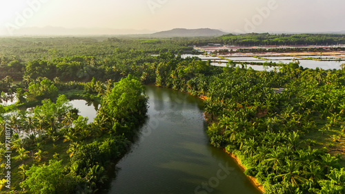 Forests and canals from an aerial view. Top angle Nature and water. Photo for using backgrounds, trees, and flowing streams. A large forest with a river running through the middle.
