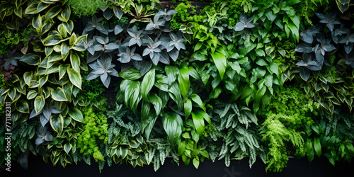 Plantcovered wall with various plant species arranged in a beautiful pattern photo