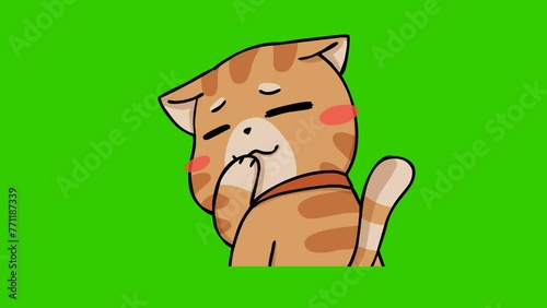 chuckle animation. cute cat on green screen