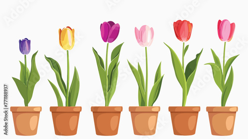 Vector tulips in pot isolated on white background f