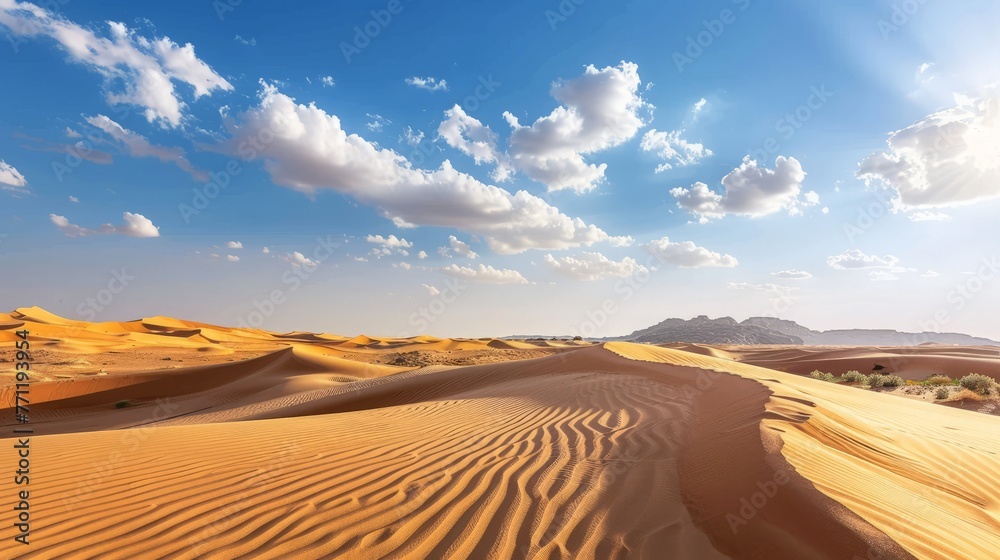 beautiful view of desert Sand dunes from