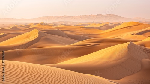 Empty Quarter Desert Dunes at Liwa, Abu Dhabi, photo