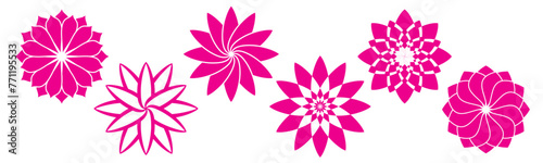 Pink lotus ornament vector illustration set photo