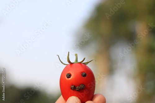 Tomato that looks happy concept made with natural available food. Concept of eat organic foods