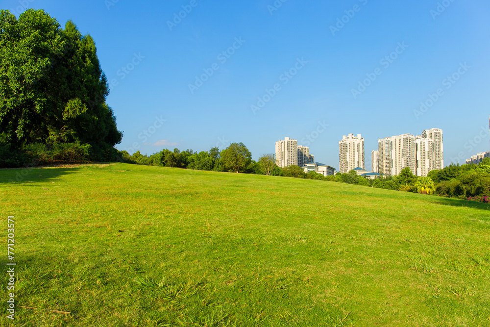 The vast central park of the city is lush with green grass in the sunny summer.