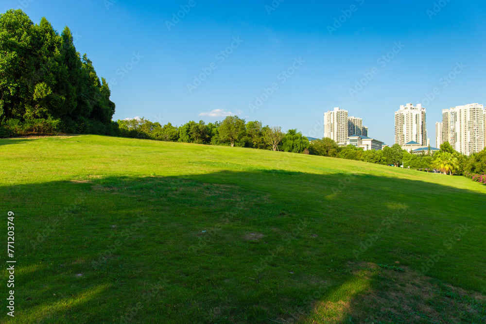 The vast central park of the city is lush with green grass in the sunny summer.