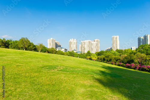 The vast central park of the city is lush with green grass in the sunny summer.