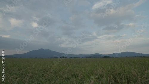 筑波山麓の実りタイムラプススライダー