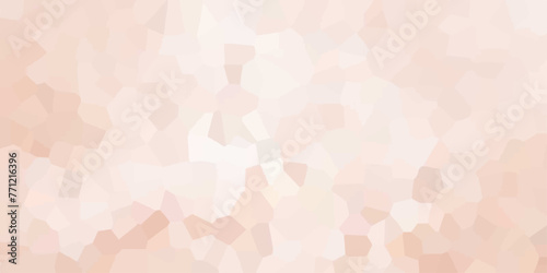 Beautiful multicolor crystallized polygon background. abstract light colorful stone tile pattern. modern wallpaper, trendy simple minimal geometric pastel background vector abstract mosaic backdrop.
