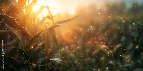Green wet grass in sun rays close up Blades of grass coated in morning dew sparkling like diamonds under the rising sun 