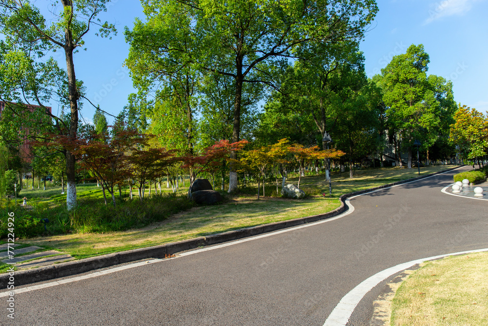 Under the clear sky, the parks in the city are lush with green grass and very quiet