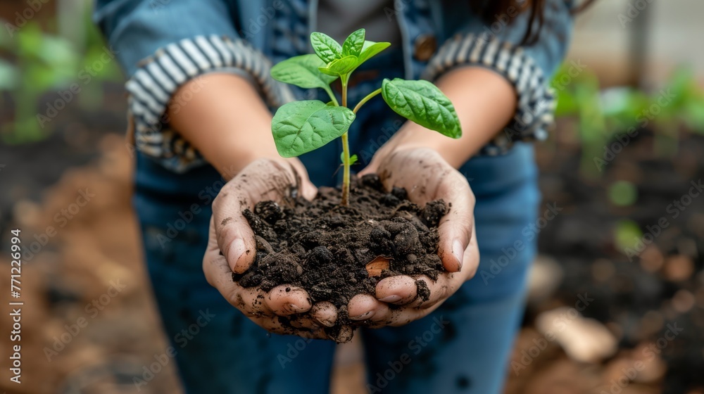 hands holding a plant. World Environmental Education Day Concept. hands holding a plant. World Environmental Education Day Concept.