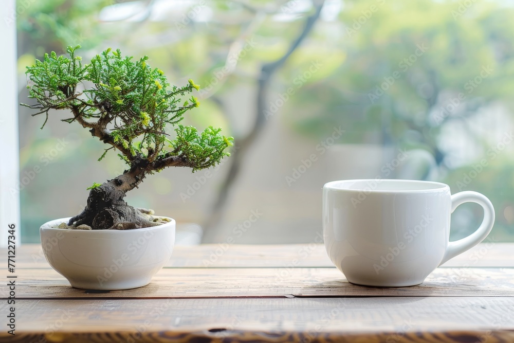 Closeup white cup and small trees in vase on wooden table space banner for display or montage products Closeup white cup and small trees in vase on wooden table space banner for display or montage products