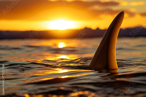 surfboard with fins showing at sunset in the style of 79f32baf-bb6d-4462-a62b-2576410797bd 1 photo