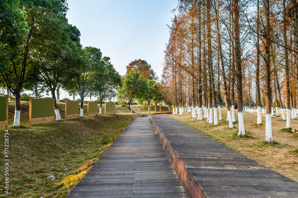 The autumn scenery of modern urban parks, where the leaves turn yellow, is very beautiful The autumn scenery of modern urban parks, where the leaves turn yellow, is very beautiful