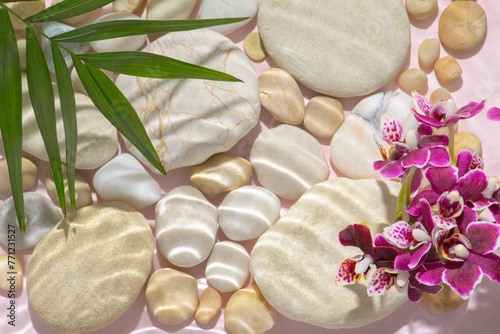 violet orchid, palm and stones with hard shadow in water, abstract spa background concept banner for cosmetic body care product