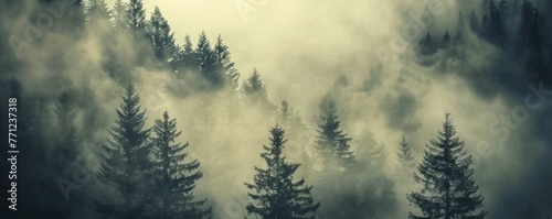 Misty green forest. Foggy landscape © Milan
