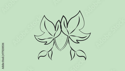 Vector hand drawn line art illustration.