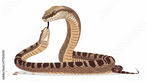 Cartoon king cobra snake on white background flat Vector © Roses