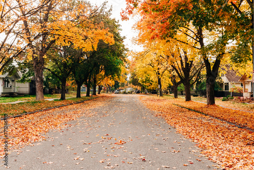 Fototapeta Naklejka Na Ścianę i Meble -  Residential fall street scene with leaves on the ground