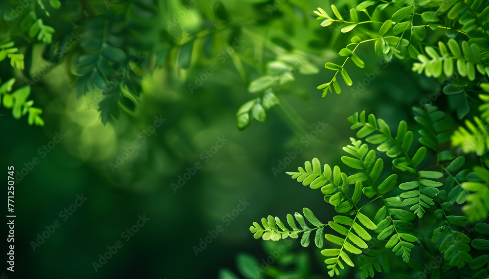 Fototapeta premium Minimalist background