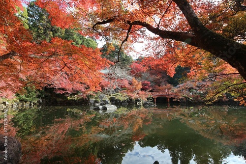 Benten-ike Pond and autumn leaves in Daigoji Temple, Kyoto, Japan photo