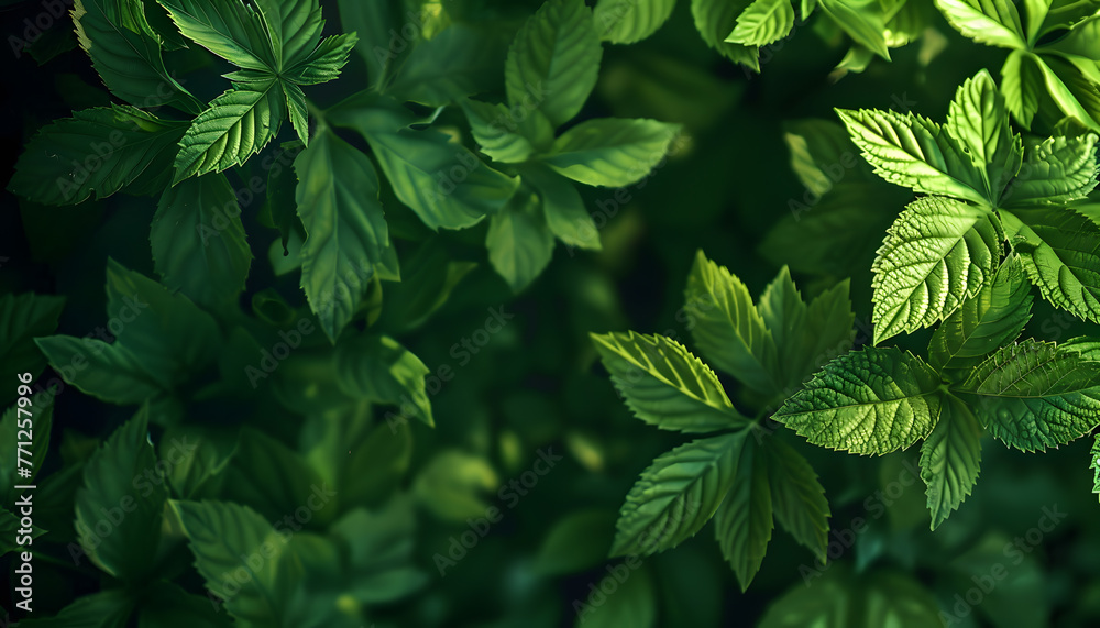 Minimalist background Minimalist background