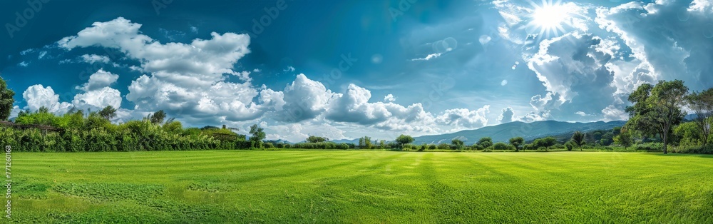 Green Field With Trees and Clouds Green Field With Trees and Clouds