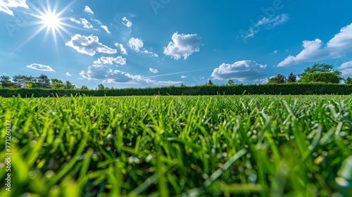 Sun Shining Over Field of Grass