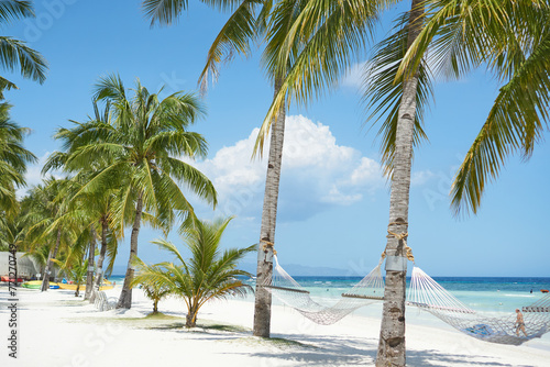 palm trees and hammocks on the beach photo