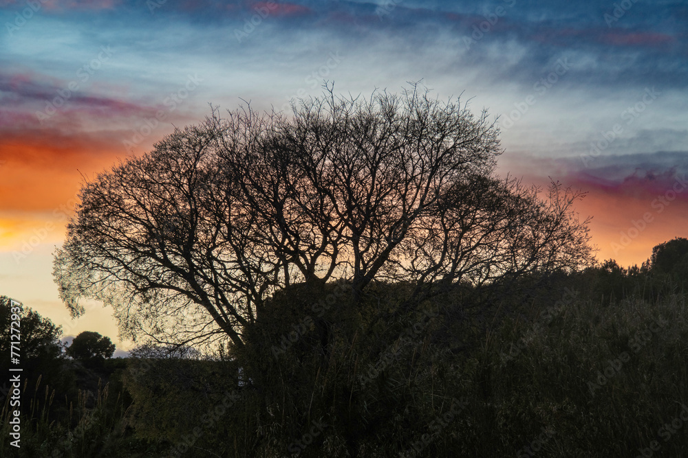 Fototapeta premium sunset on a cloudy day