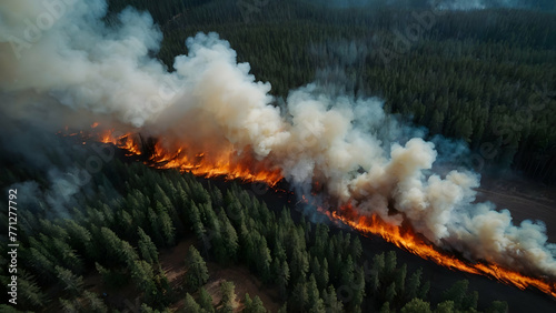 aerial view of forest fire with flames and smoke